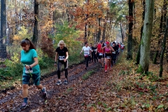 IMG_20241027_101115