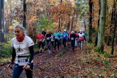 IMG_20241027_101122