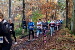IMG_20241027_101130