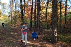 IMG_20241027_103433